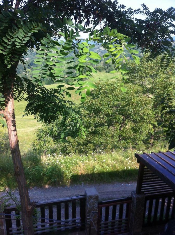 Cabana Breaza - Skyview Cottage Bagian luar foto